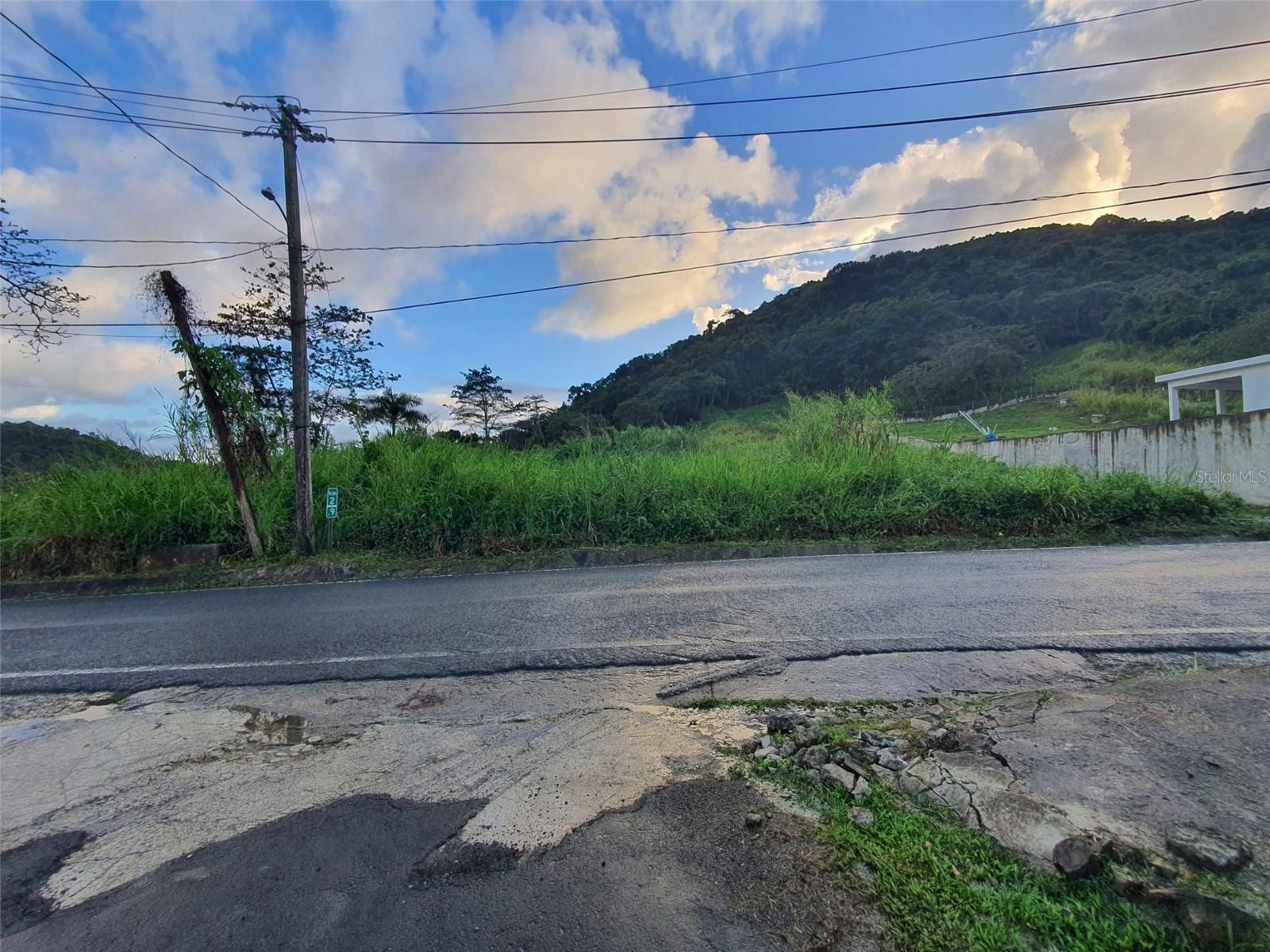 Carr 191, Naguabo, PR 00718