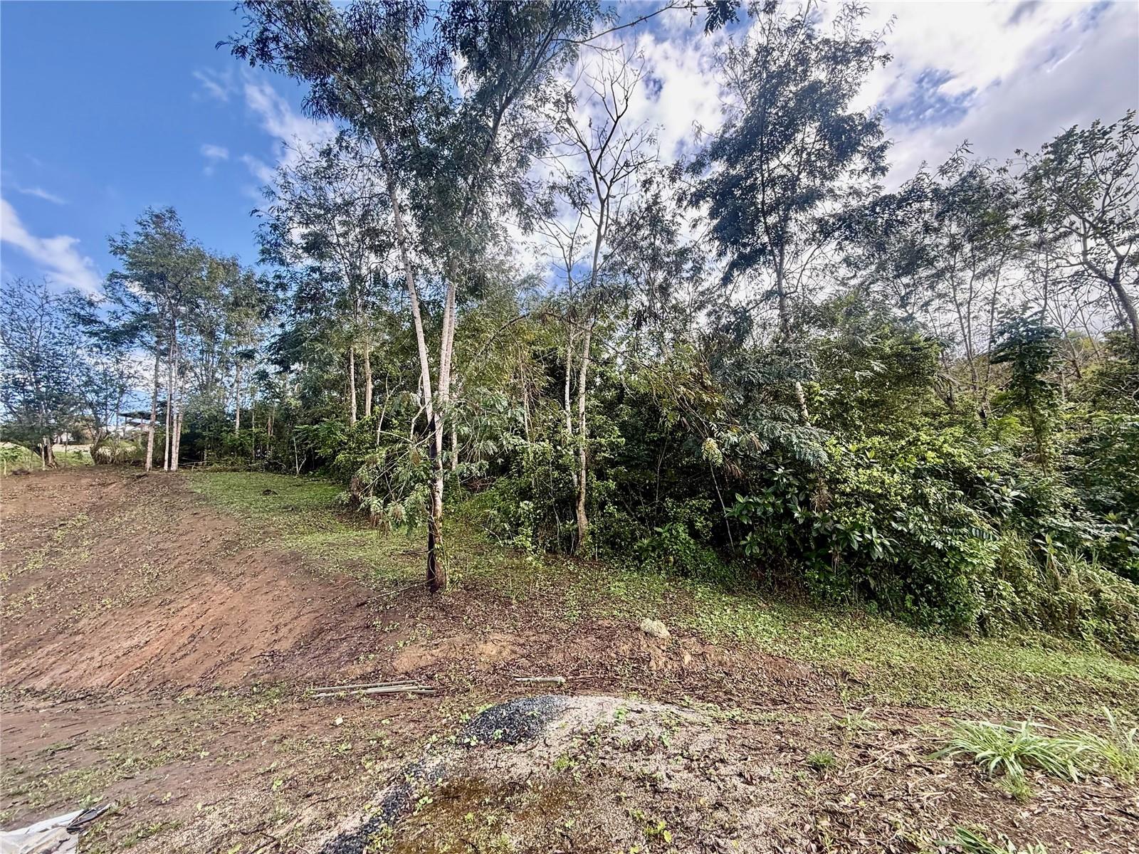 Bo RincóN Lomas, Cayey, PR 00736