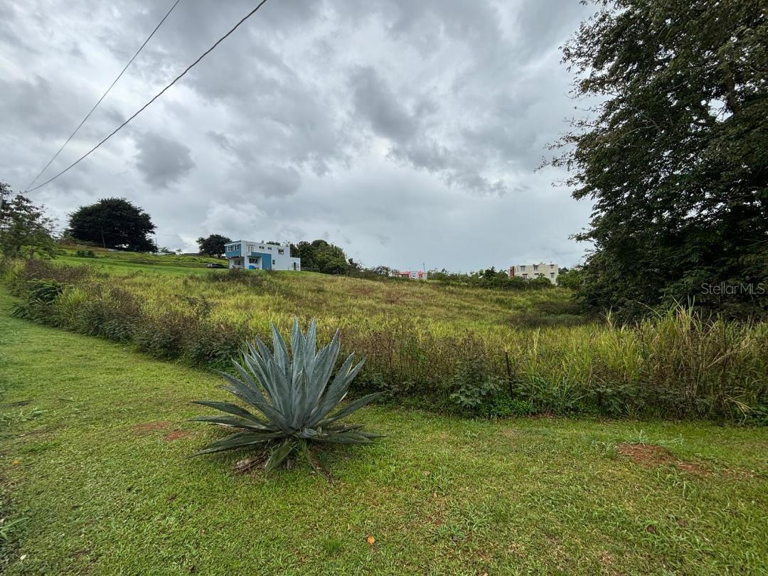 Caguas, PR 00727