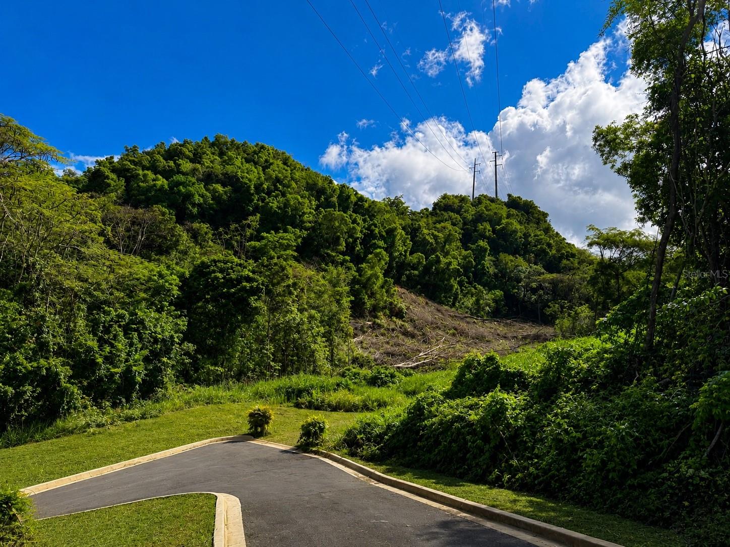 1 Pr-686 Km 1.2 Interior, Manati, PR 00674
