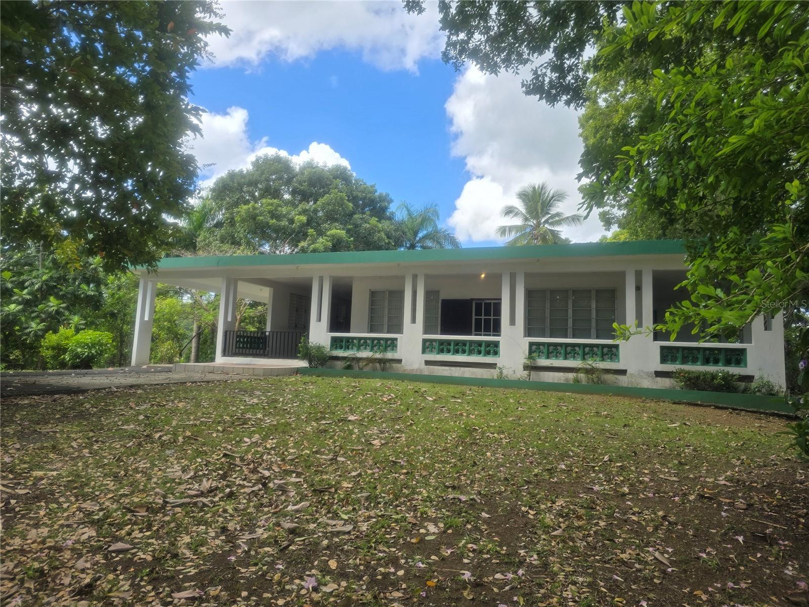 167r Sector Segundo SáNchez, Bayamon, PR 00956