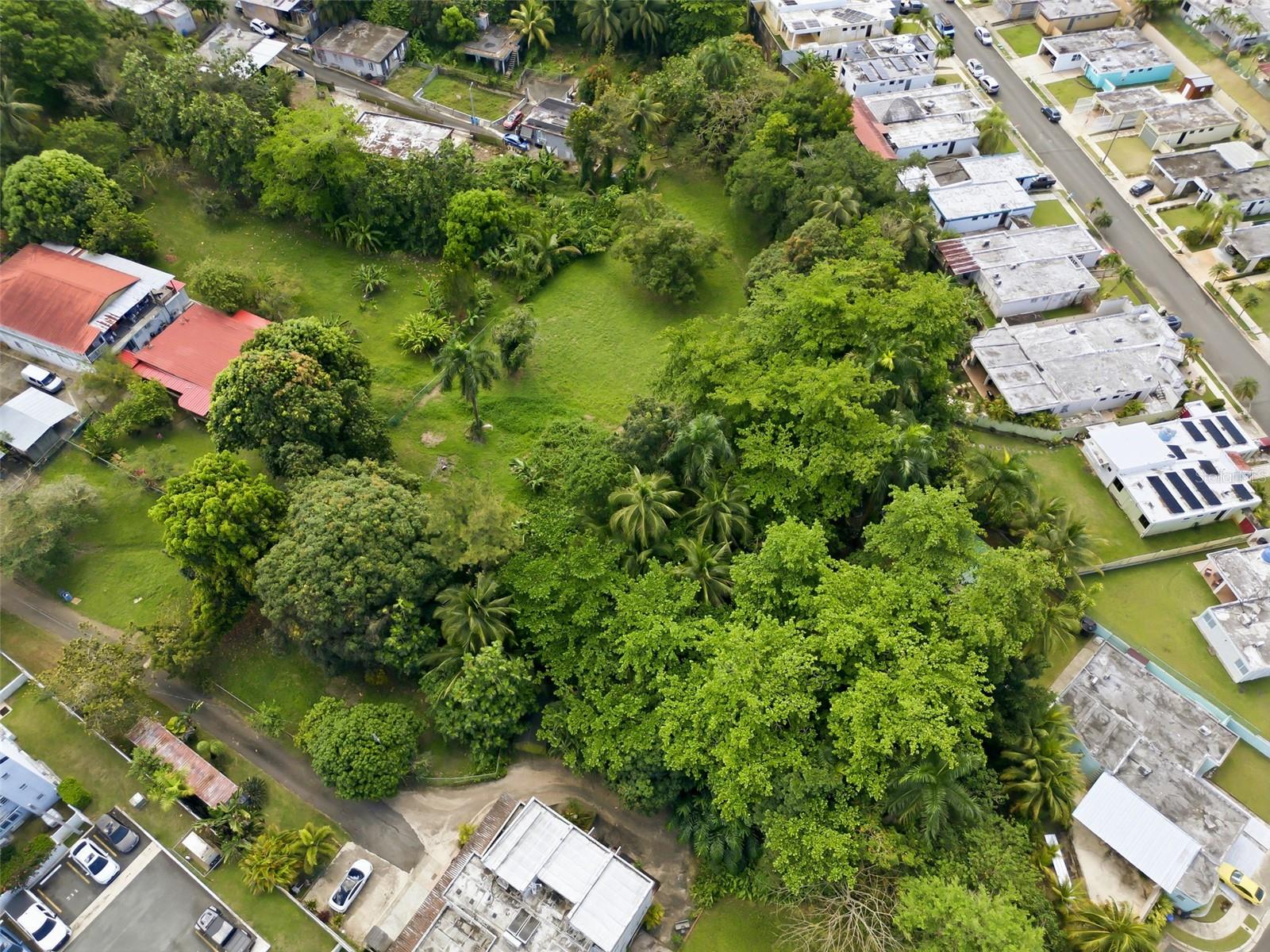 862 St, Bayamon, PR 00961