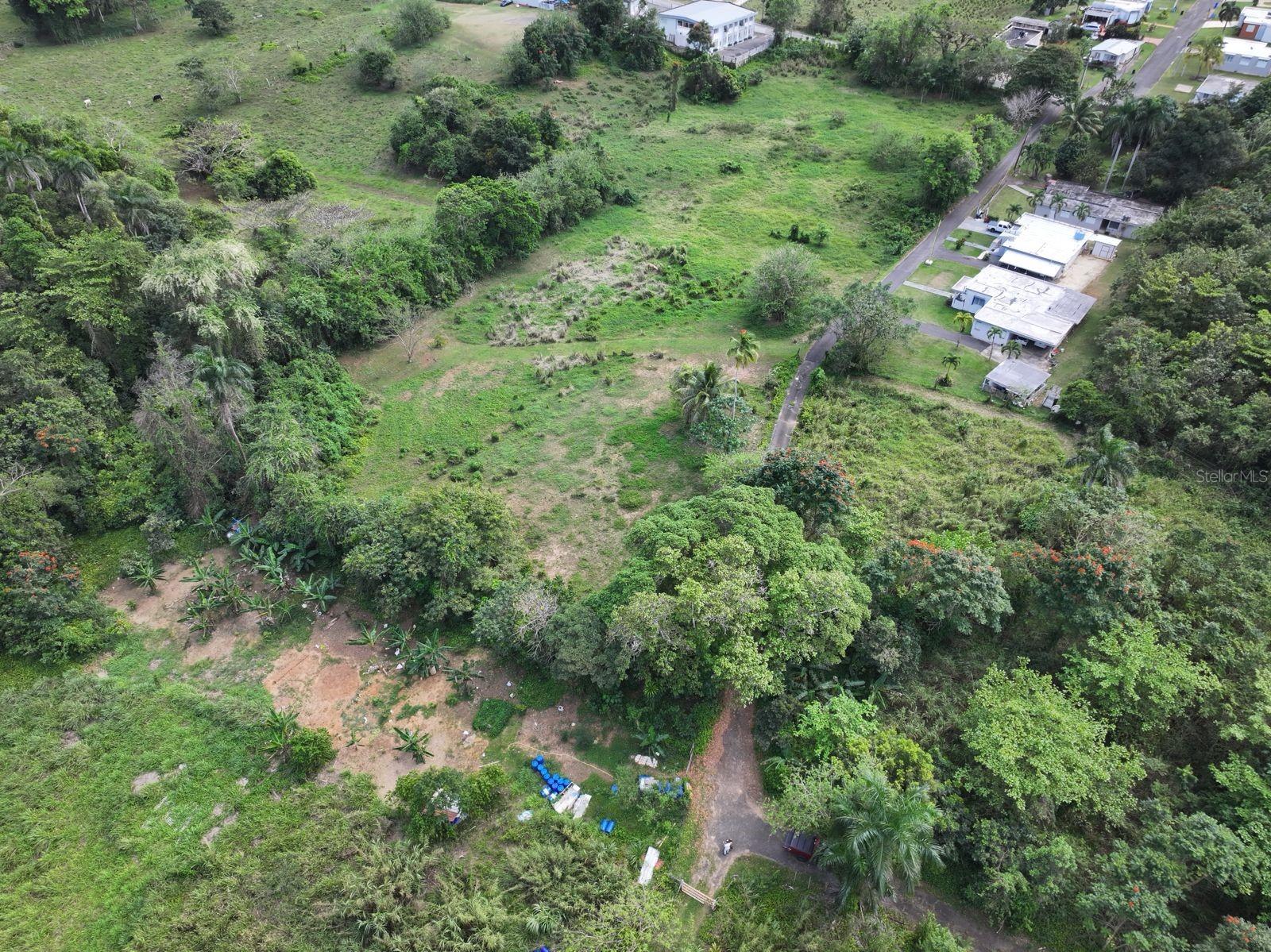 Carr 448, Camuy, PR 00627