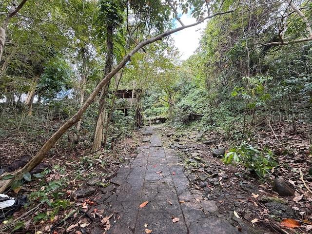 Bo Jimenez Carr 966, Rio Grande, PR 00745