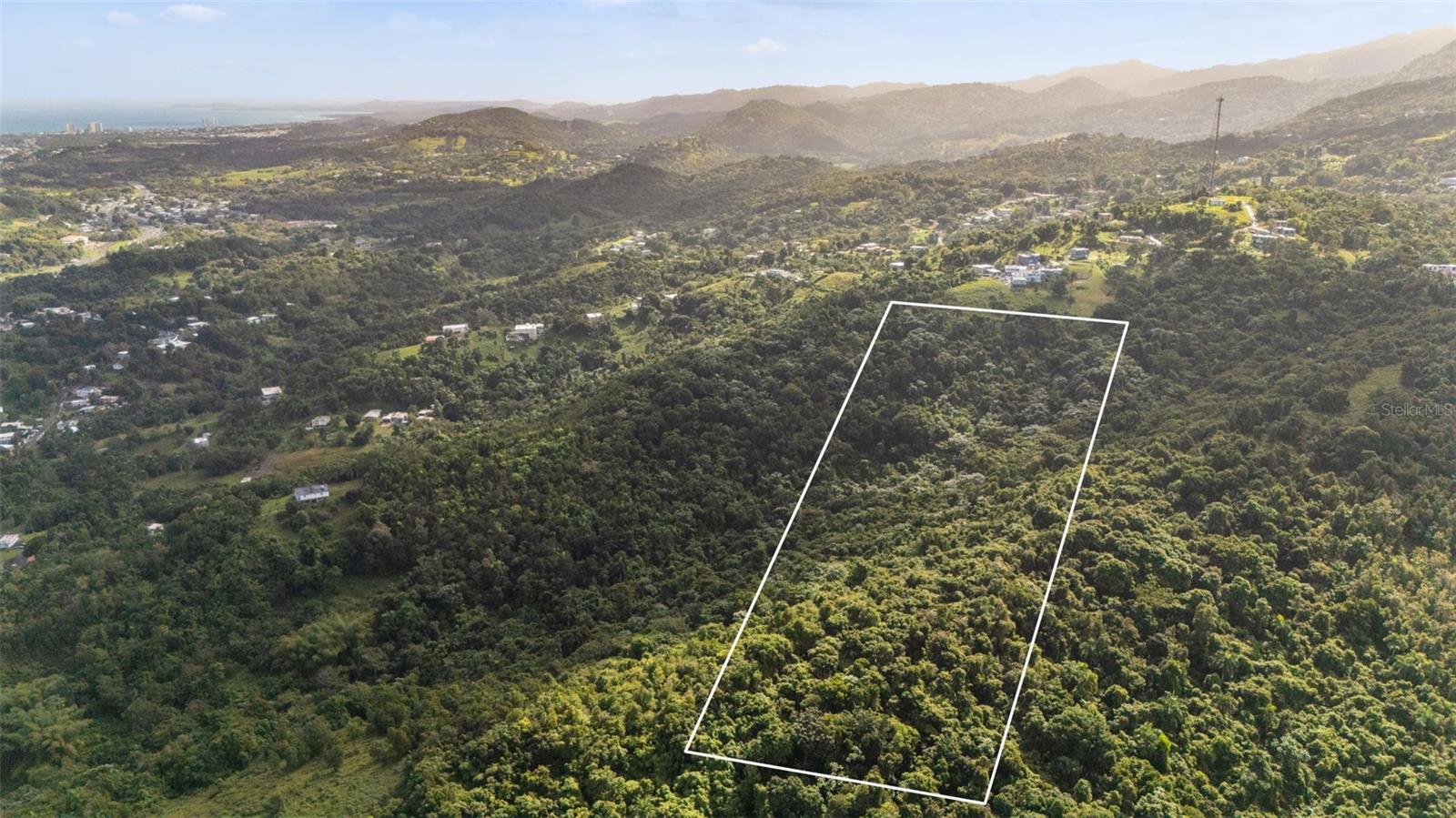 966 Zarzal Rd, Rio Grande, PR 00745