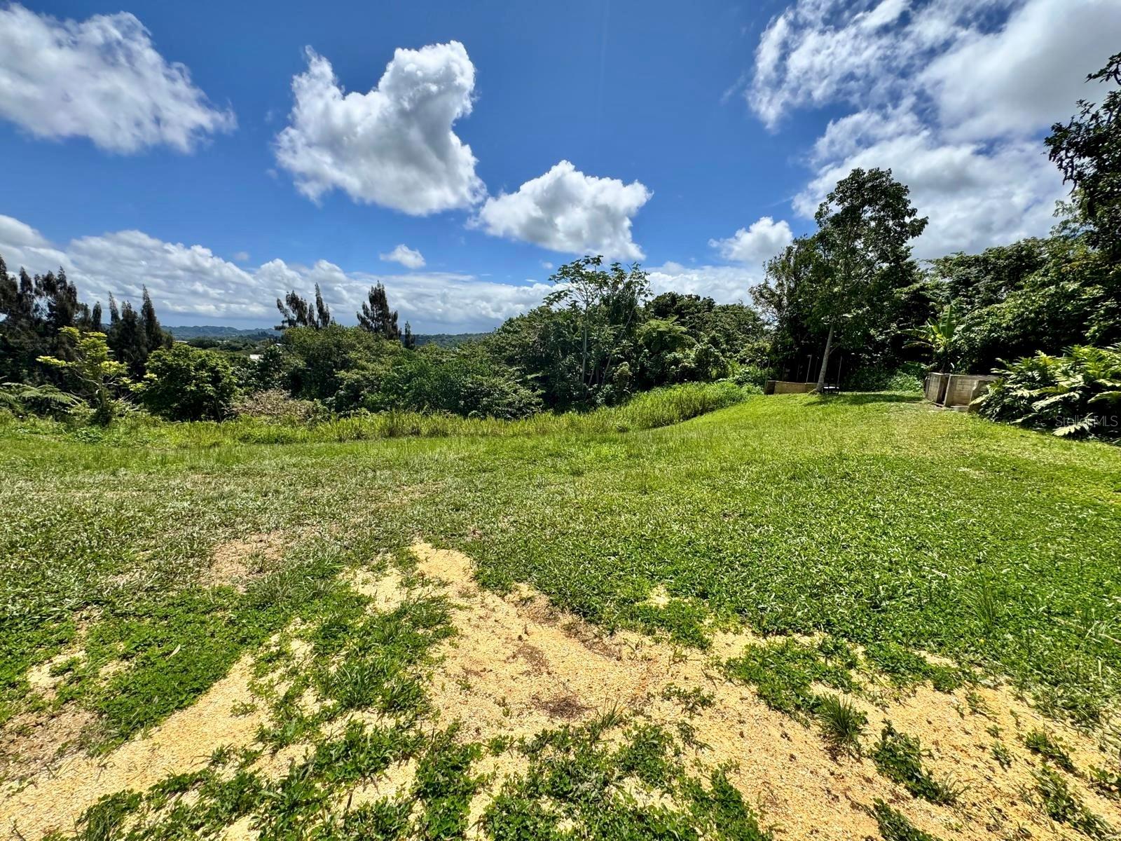 Camino Vitoriano, Lares, PR 00669