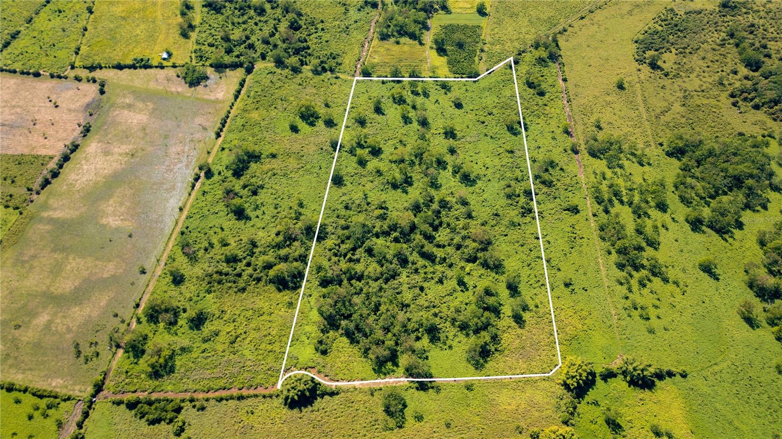 2 Km 162 Benavente Rd #725, Hormigueros, PR 00660