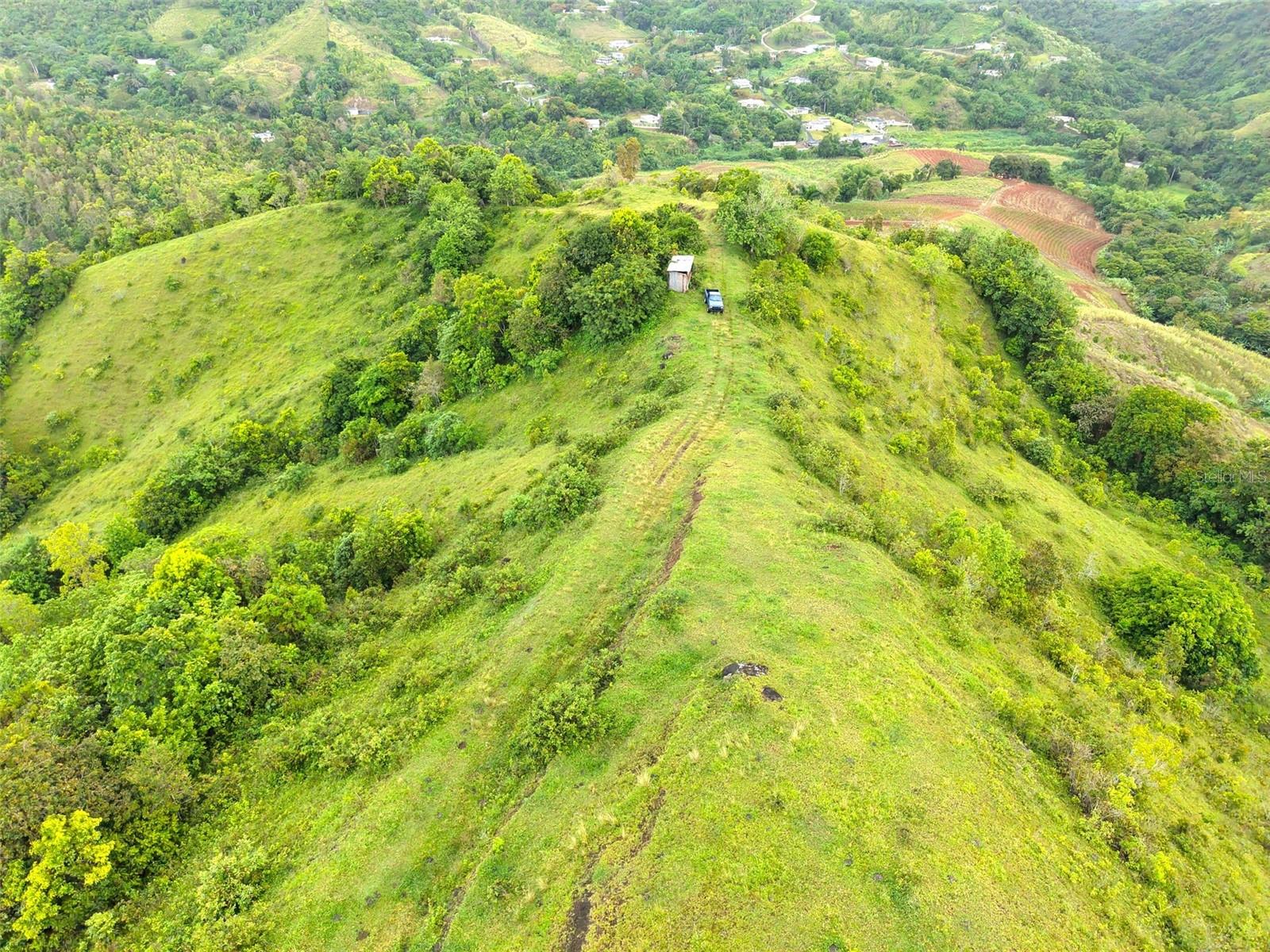 Pr 770 Km 2.9 Palo Hincado Ward, Barranquitas, PR 00794