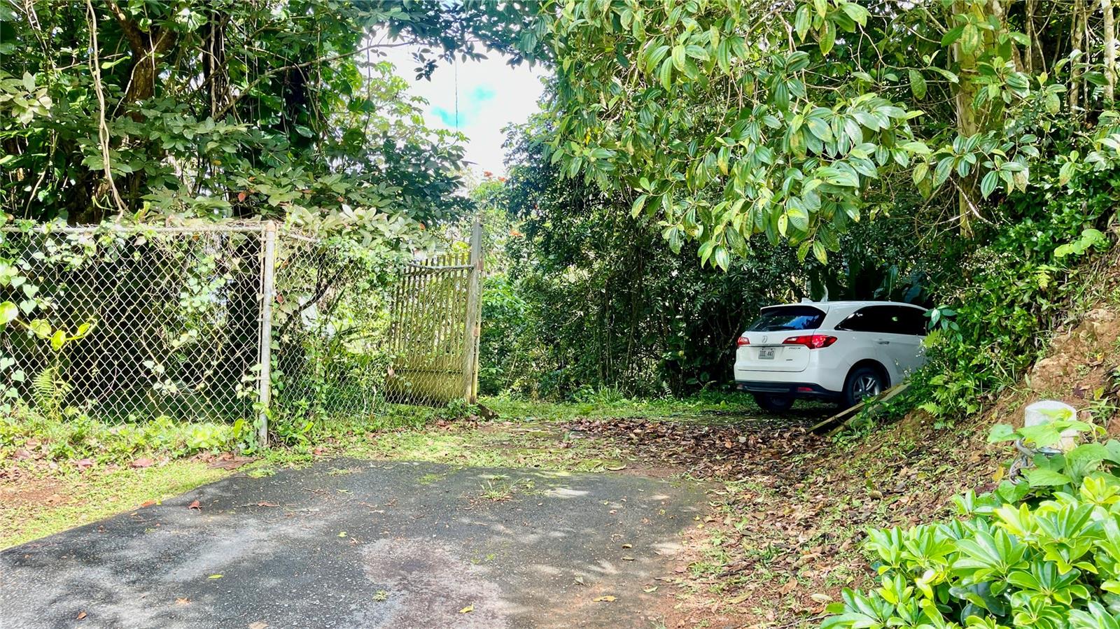 718 Bo. Pasto Rd, Aibonito, PR 00705
