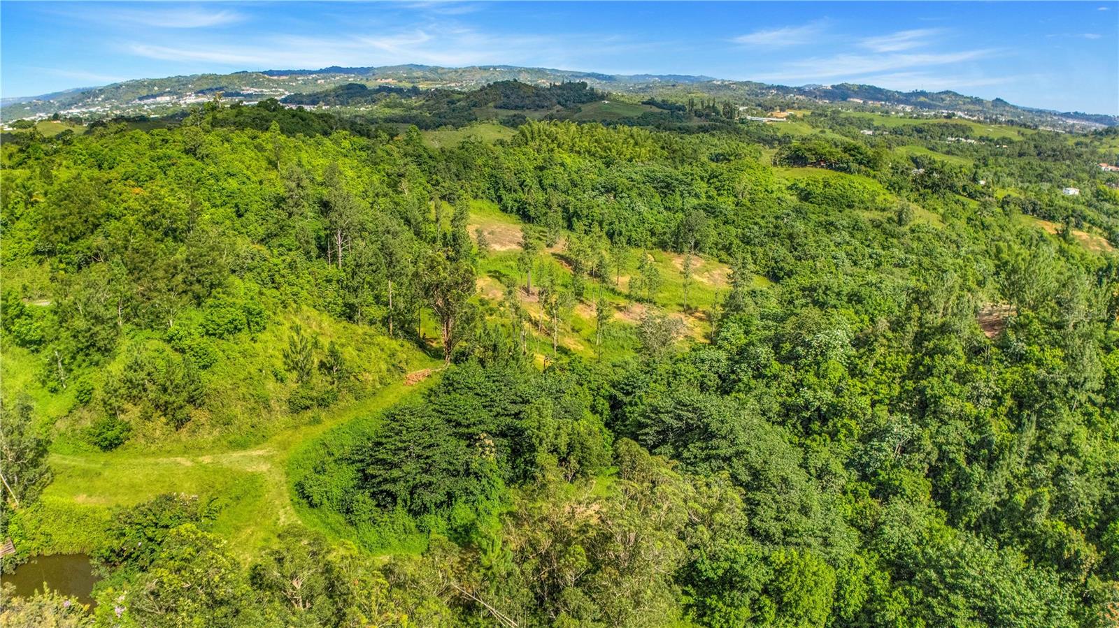 63 Sector Monticello, Cidra, PR 00739