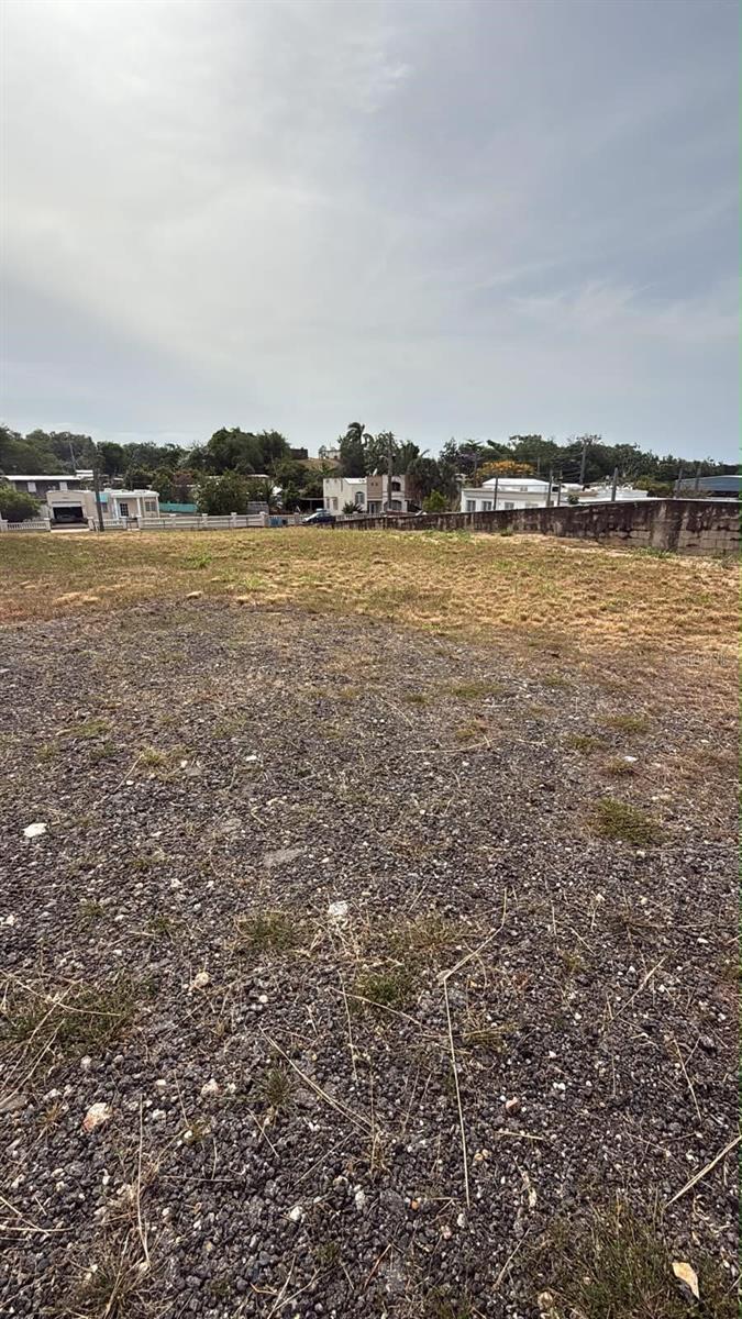 Carr 637 Bo Miraflores Sector Biafara, Arecibo, PR 00612