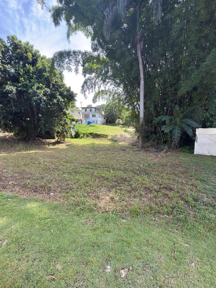 Carr 454 Bo Callejones, Lares, PR 00669
