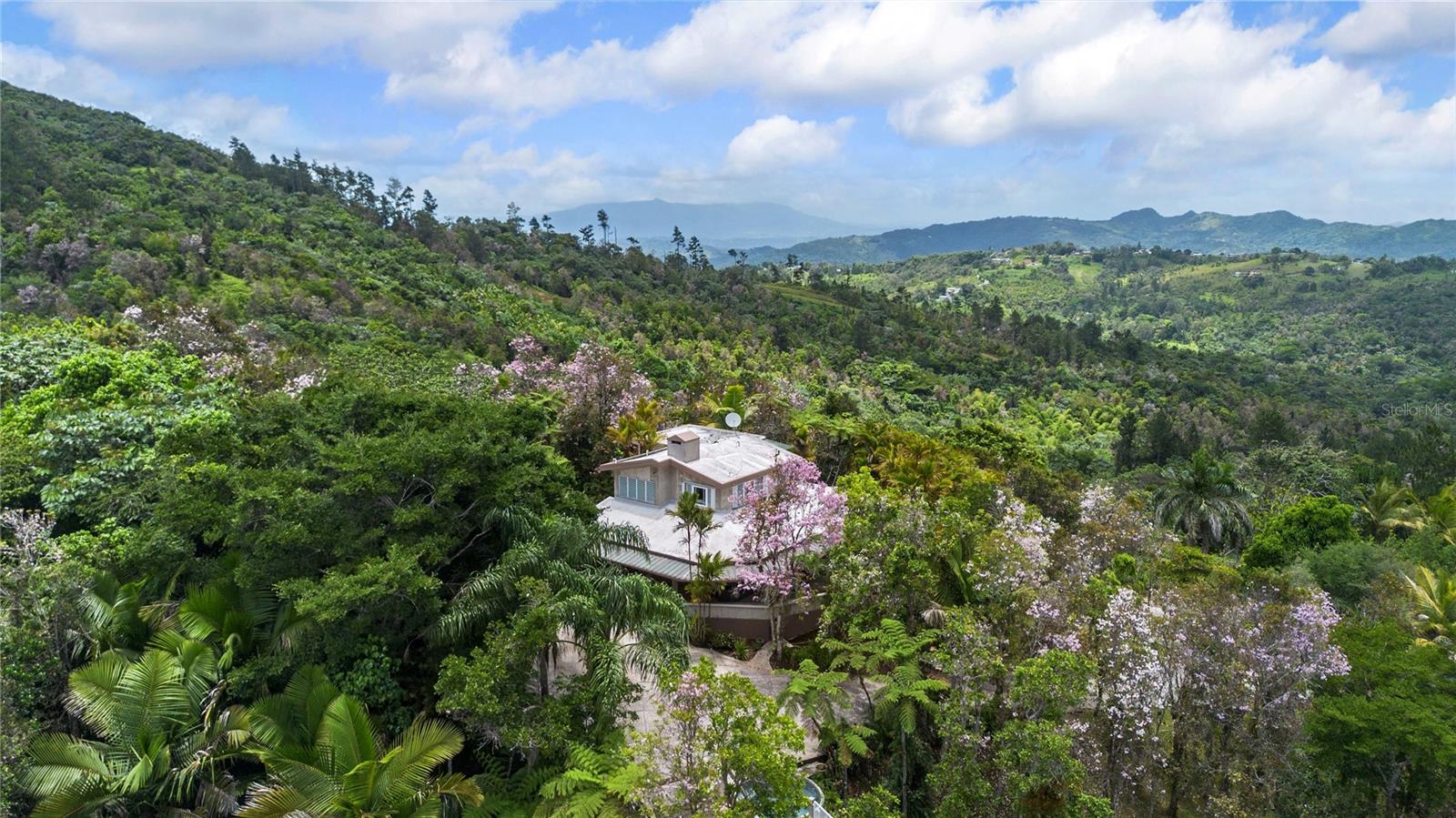 Pr-184 Guavate, Cayey, PR 00736