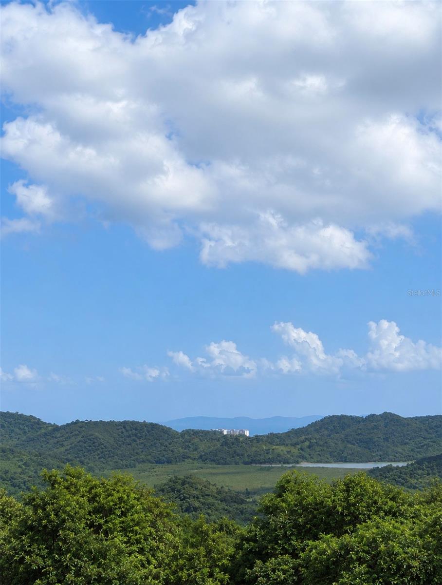 Fincas De Naranjo, Fajardo, PR 00738