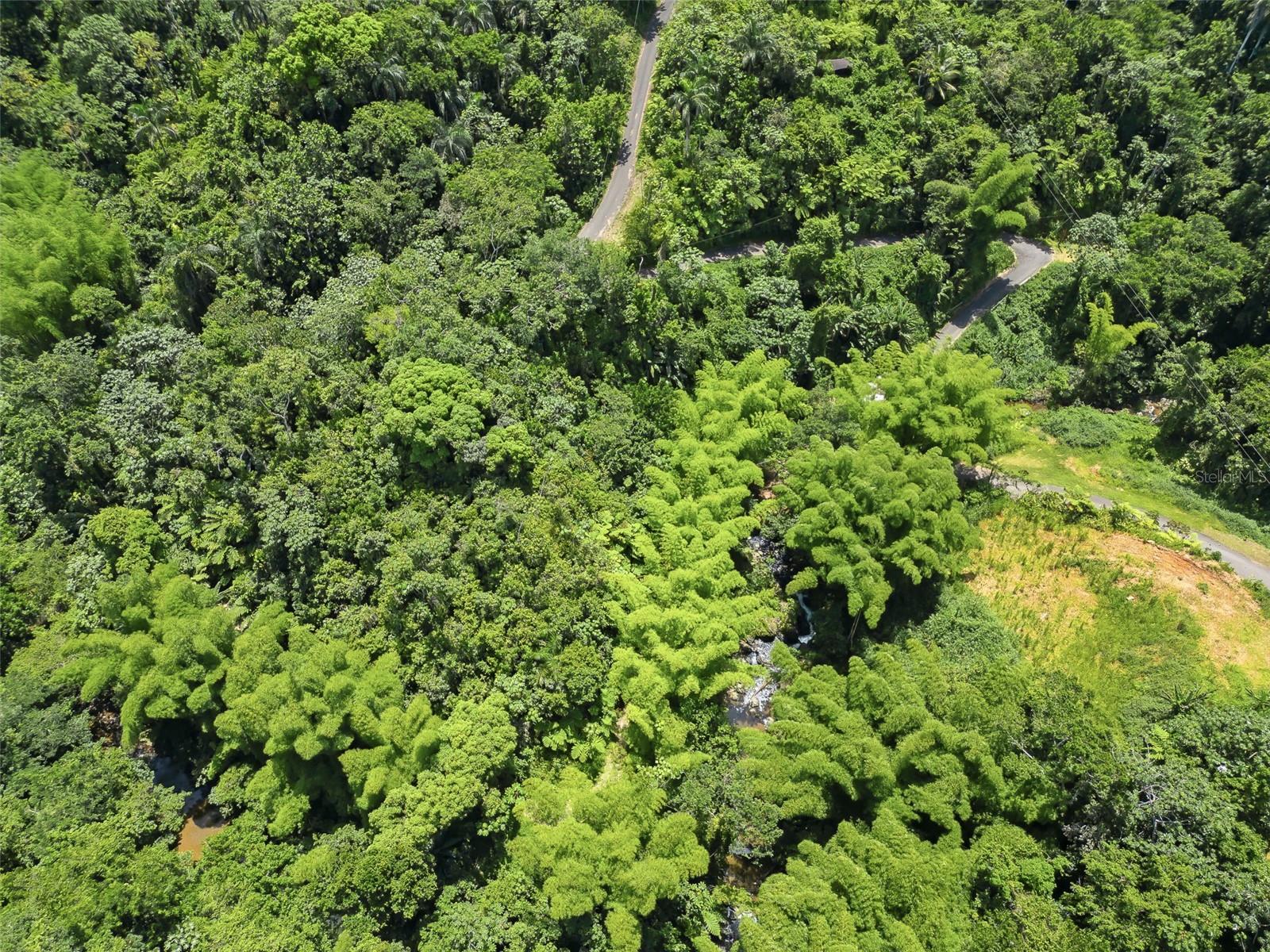 Carretera 124 Km 1.3 Bo. Buena Vista, Las Marias, PR 00670