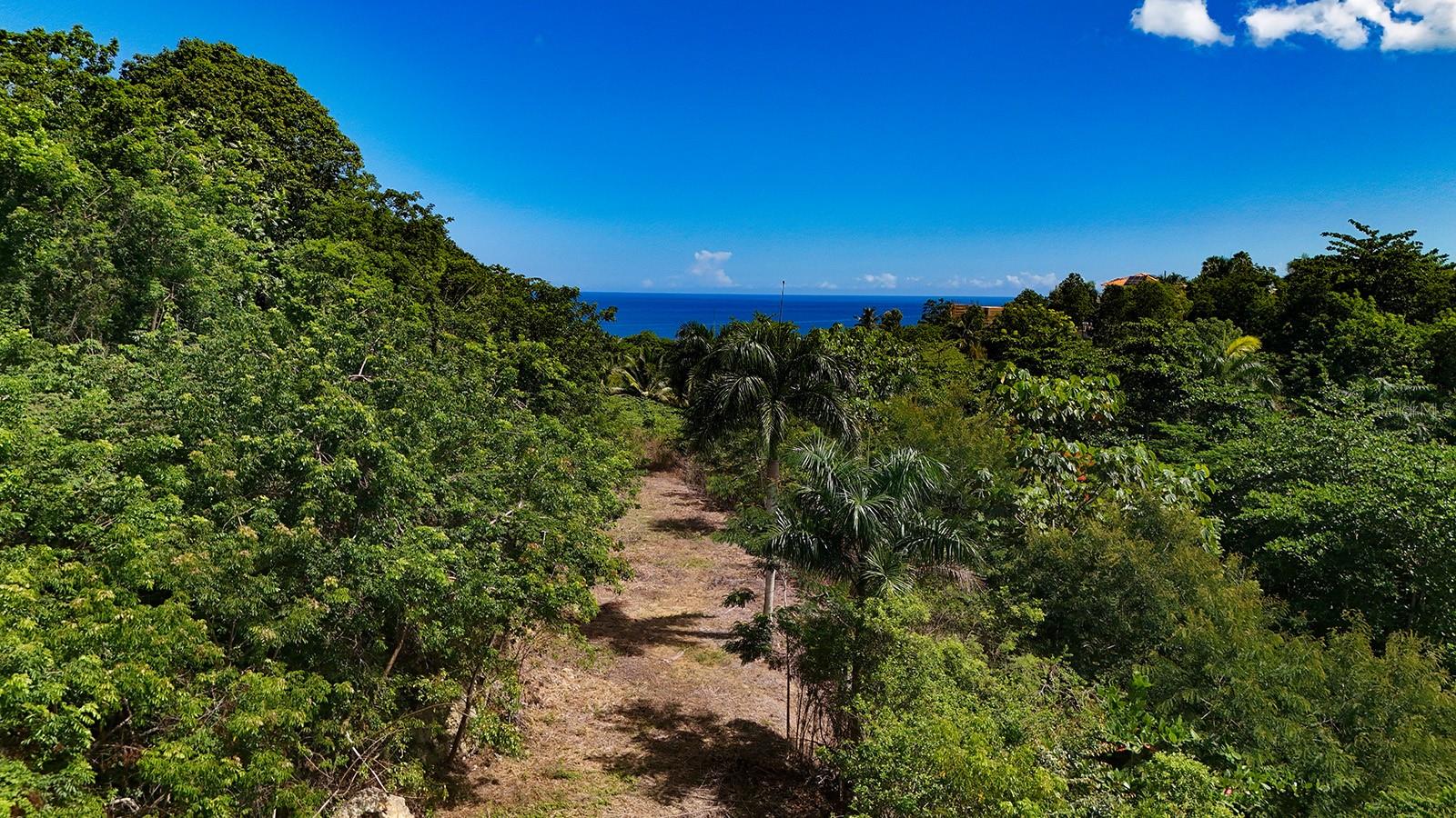 Puntas Paradise-- Calle Vista Del Mar, Rincon, PR 00677