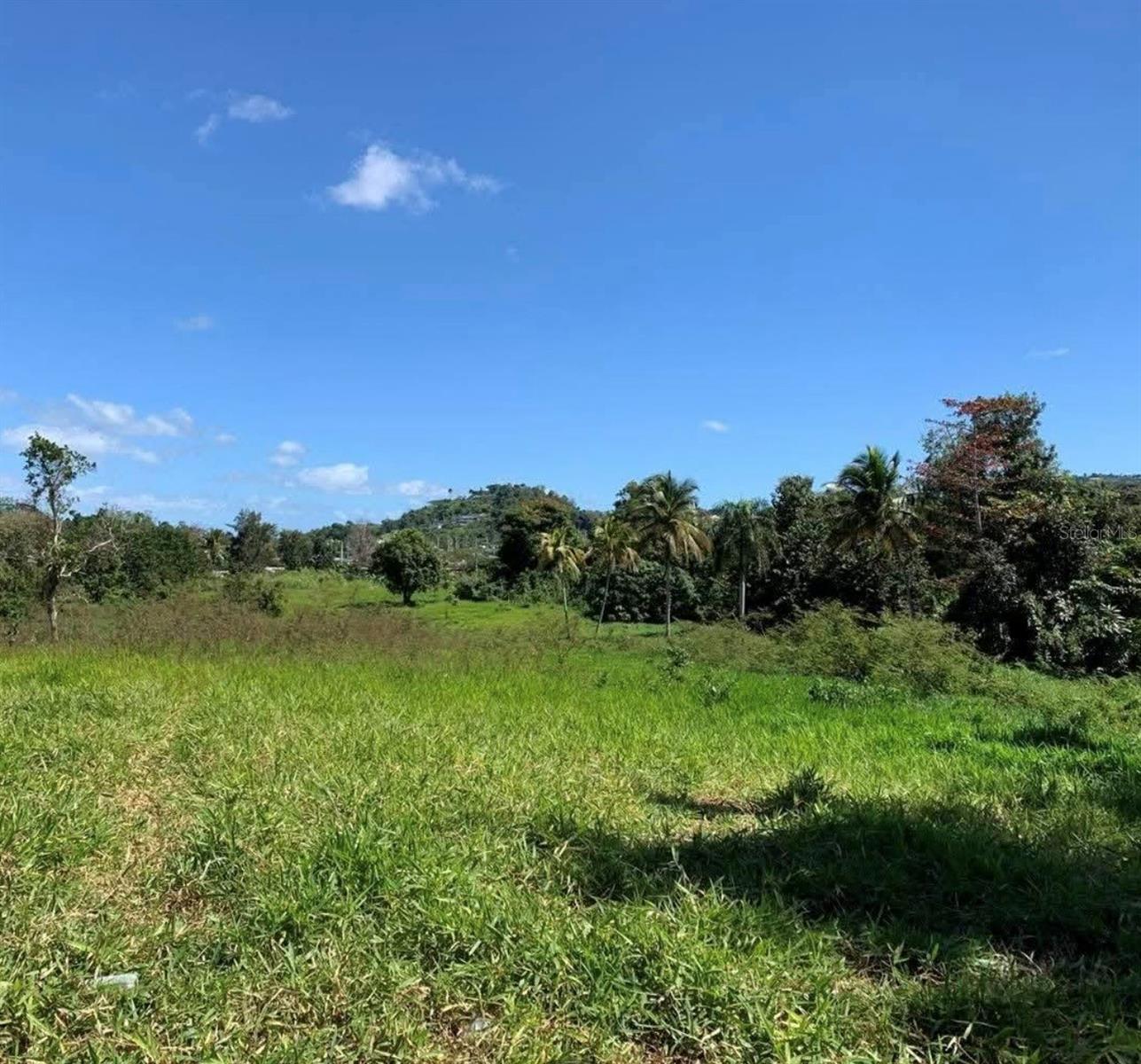 Pr 6684 Buena Vista Km Hm 2.5, Morovis, PR 00687
