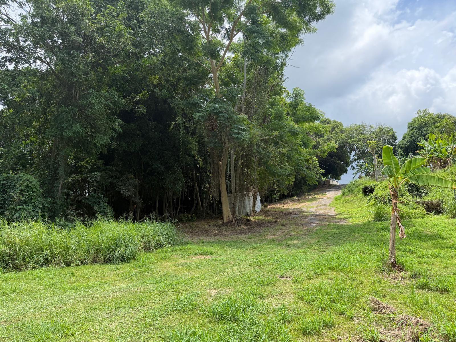 Carr 304 Barrio Jaguitas Ward, Hormigueros, PR 00660