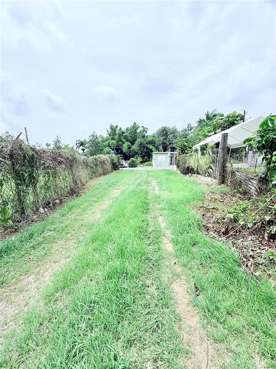Km 0.9 Route 759, Maunabo, PR 00707