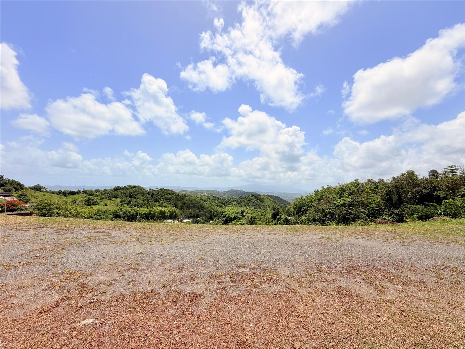 Bo. Quemado, San Lorenzo, PR 00754