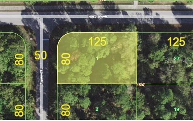 1158 Agnew St, Port Charlotte, FL 33980