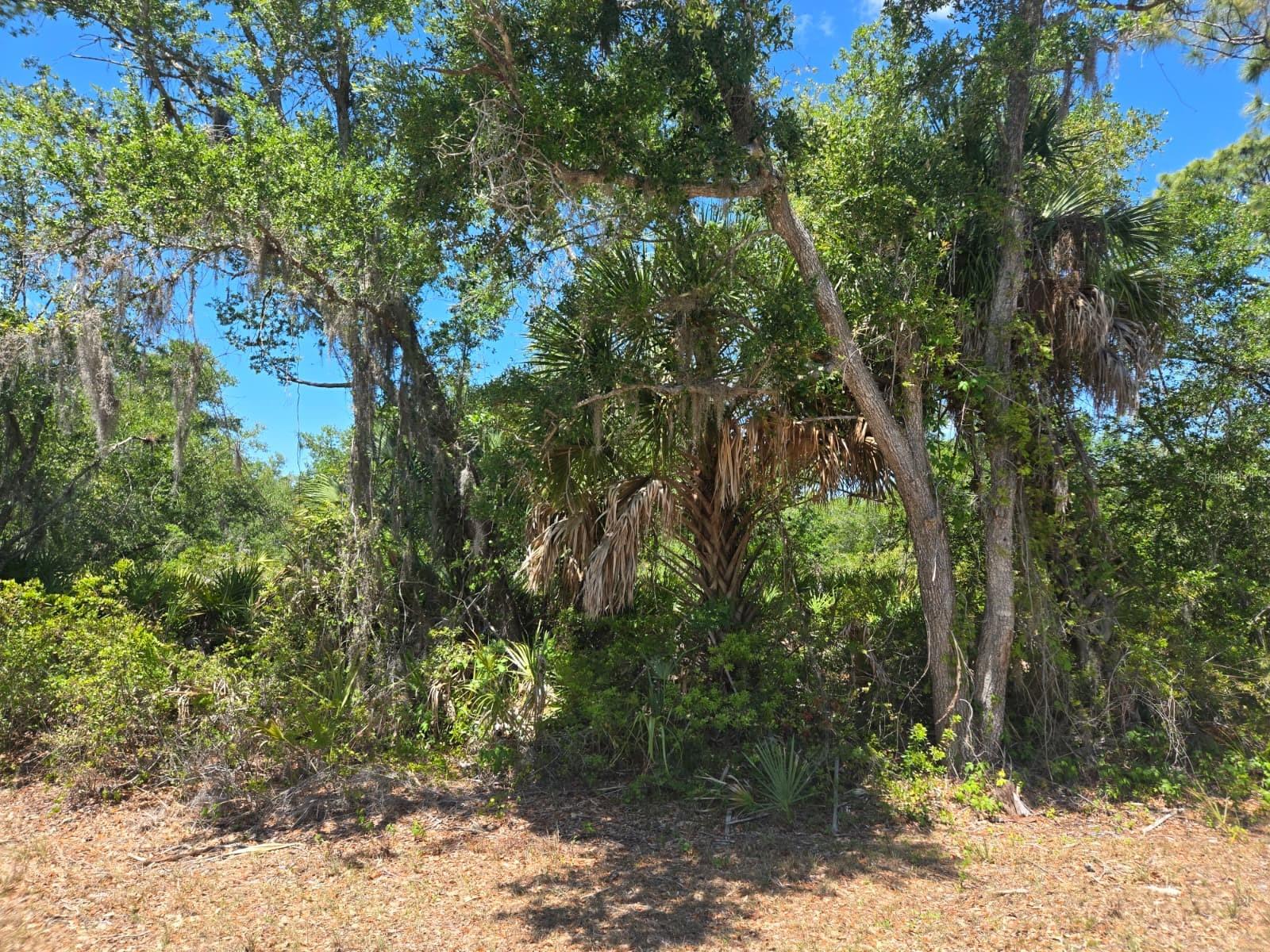 3137 Calexico St, Port Charlotte, FL 33948