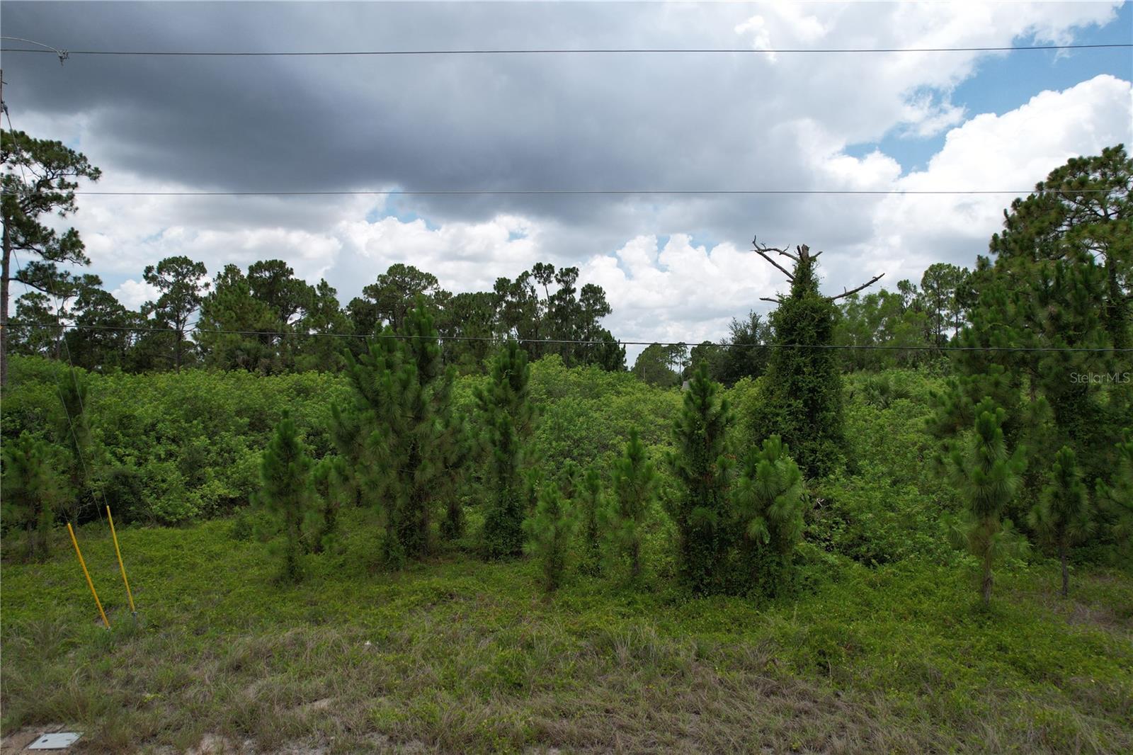 980 Lakeside Dr, Lehigh Acres, FL 33974