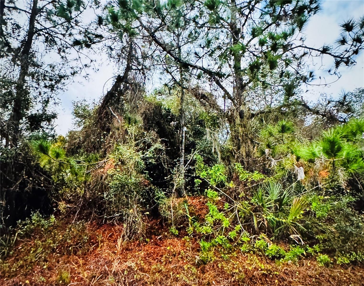 Fielding St, North Port, FL 34288
