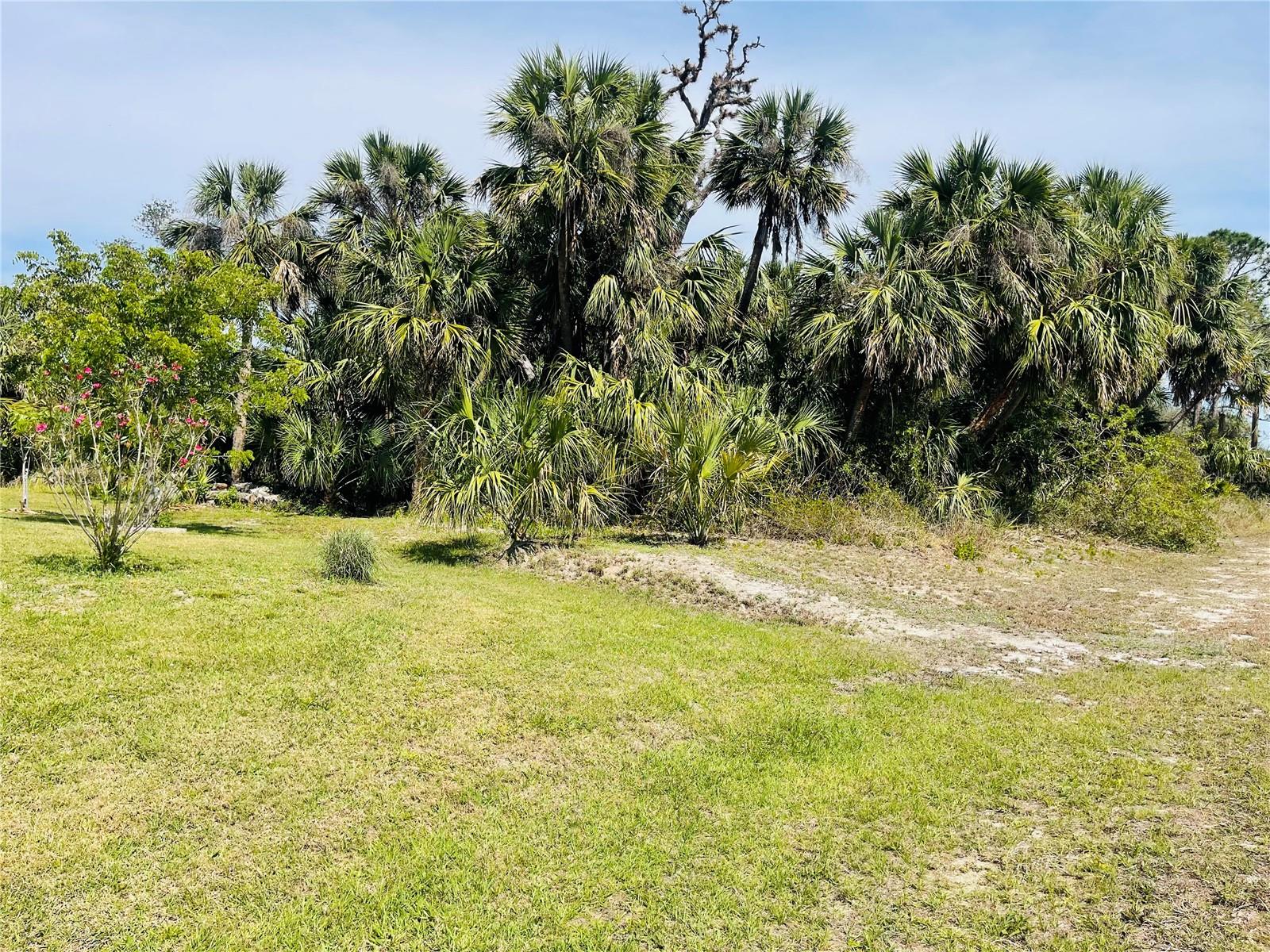 Conus Ave, North Port, FL 34288