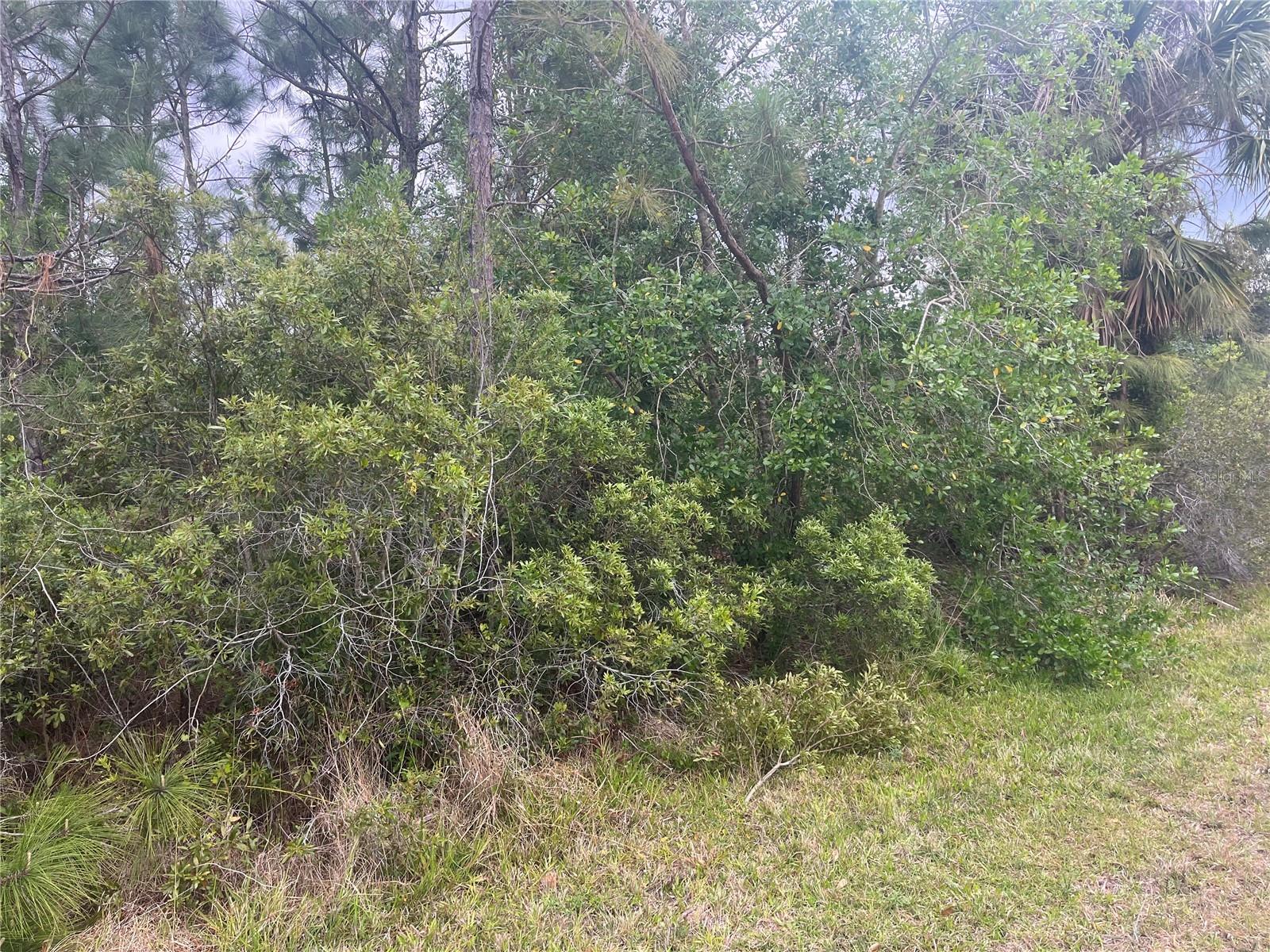Alhambra Ave, North Port, FL 34291