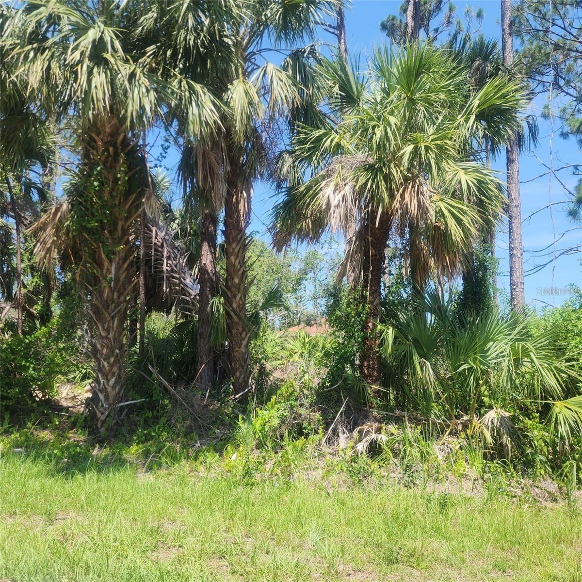 Alibi Ter, North Port, FL 34286