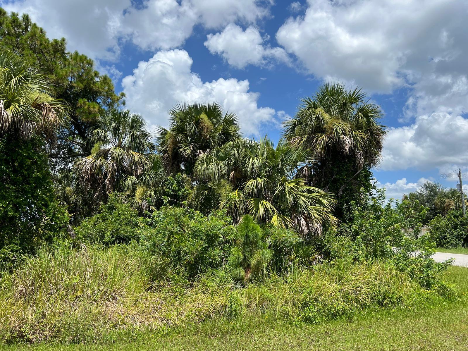 Waterloo Ter, North Port, FL 34286