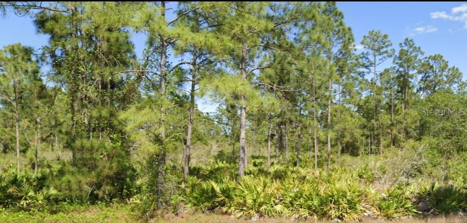 1406 Edison Ave, Lehigh Acres, FL 33972