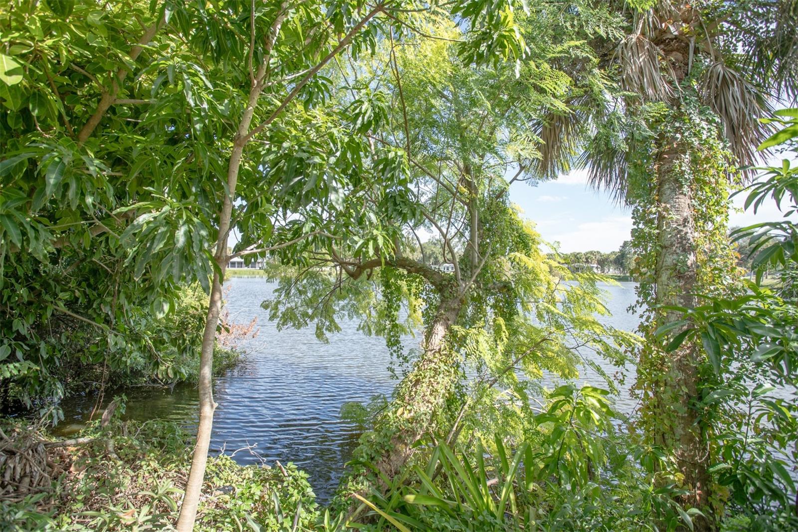 645 Palmetto Dr, Venice, FL 34293