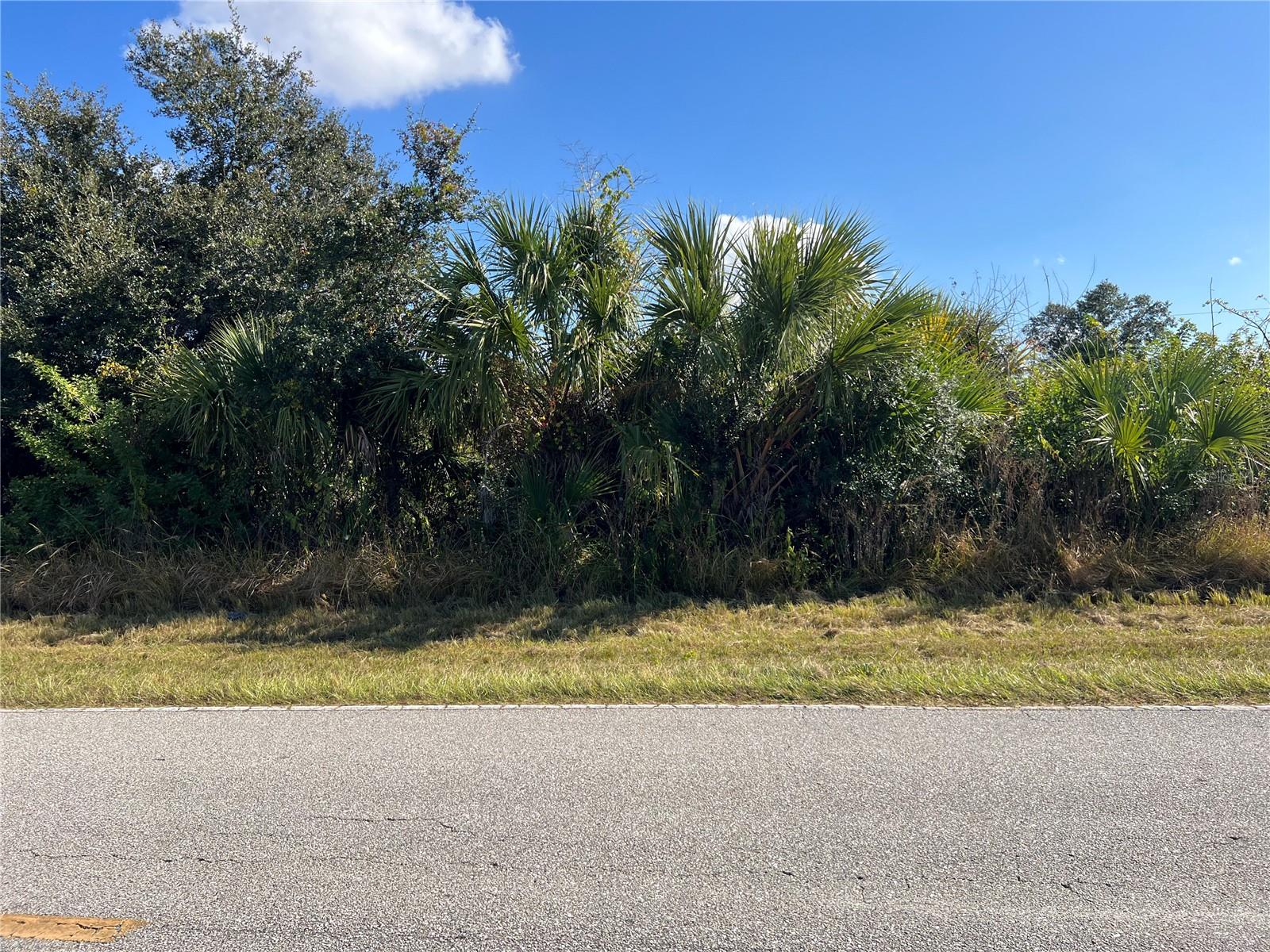 416 Theresa Blvd, Port Charlotte, FL 33954