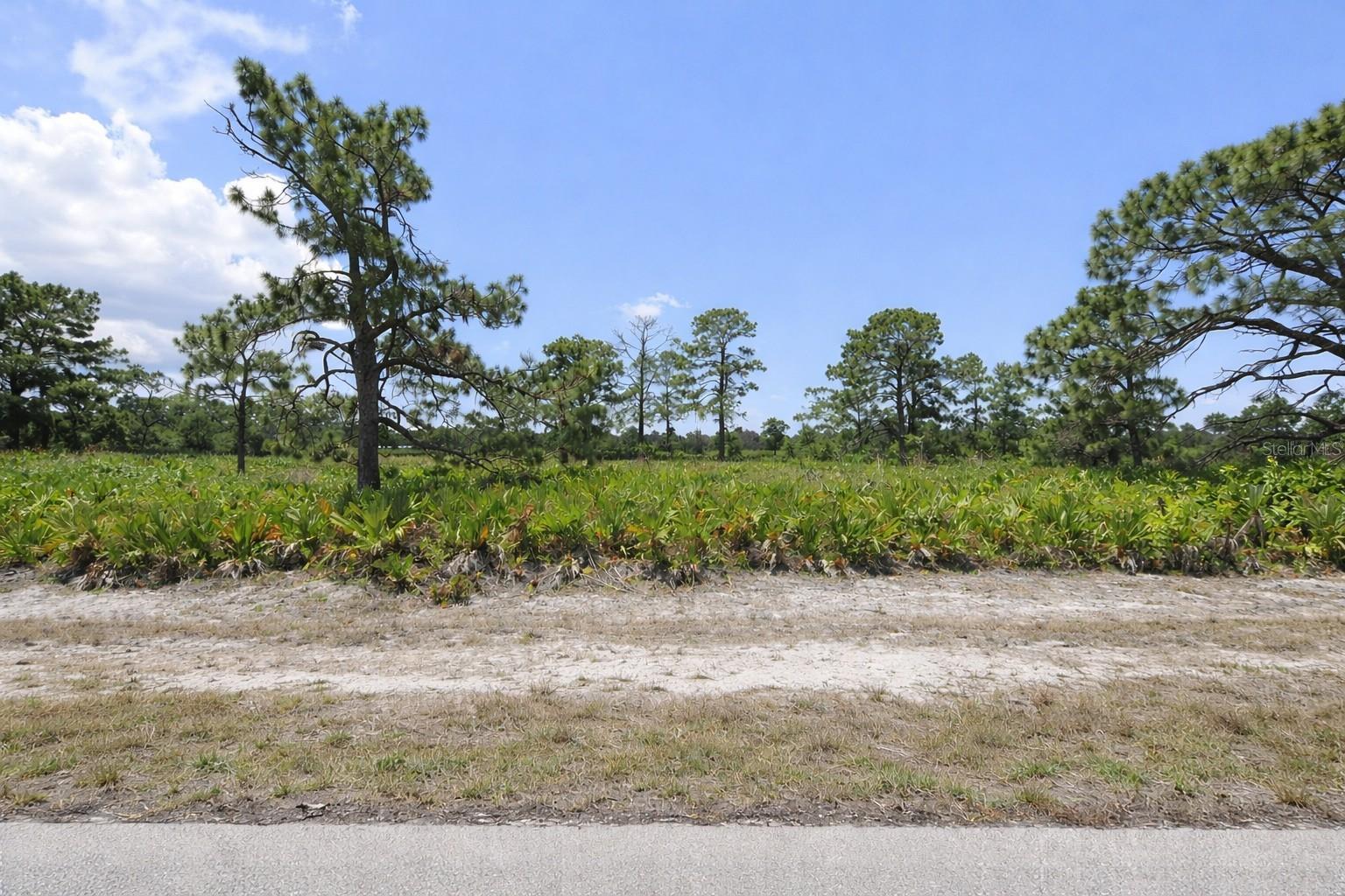 11 Betty Ct, Placida, FL 33946