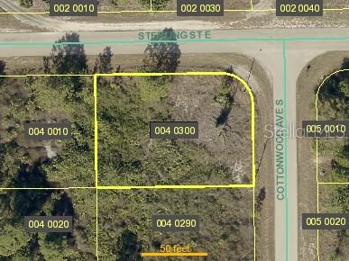 502 Cottonwood Ave S, Lehigh Acres, FL 33974