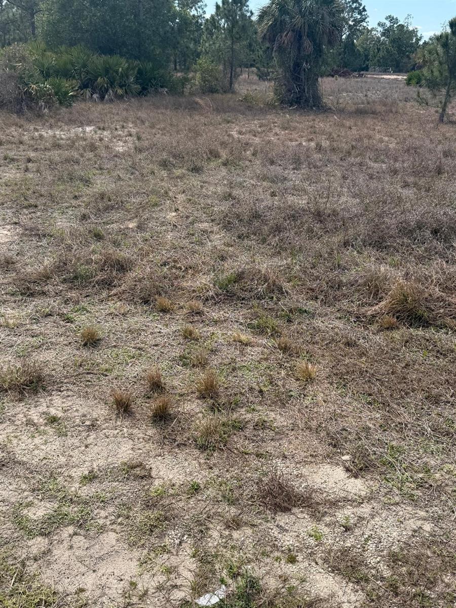 1511 Columbus Ave, Lehigh Acres, FL 33972
