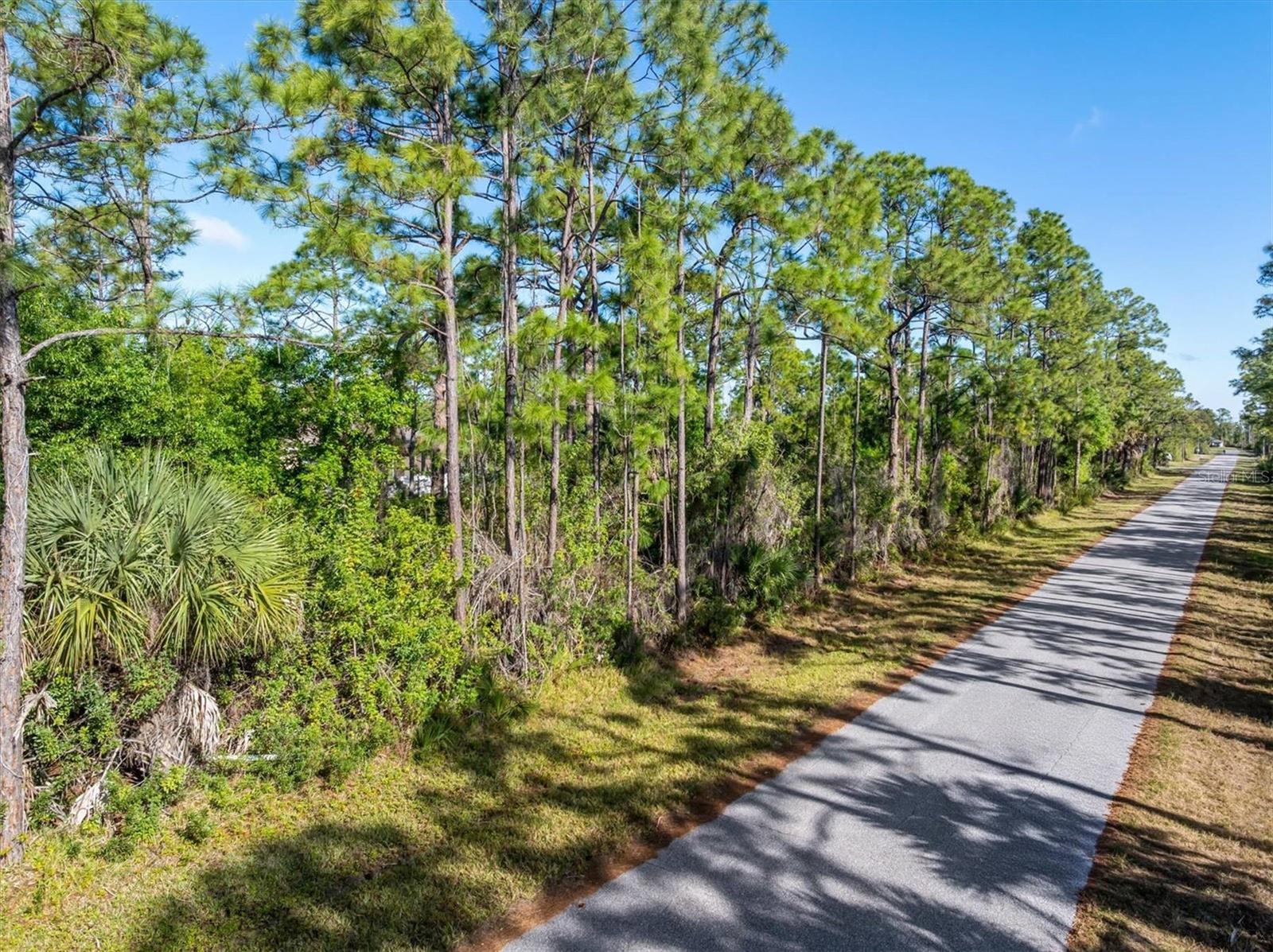 3181 Callisto St, Port Charlotte, FL 33981
