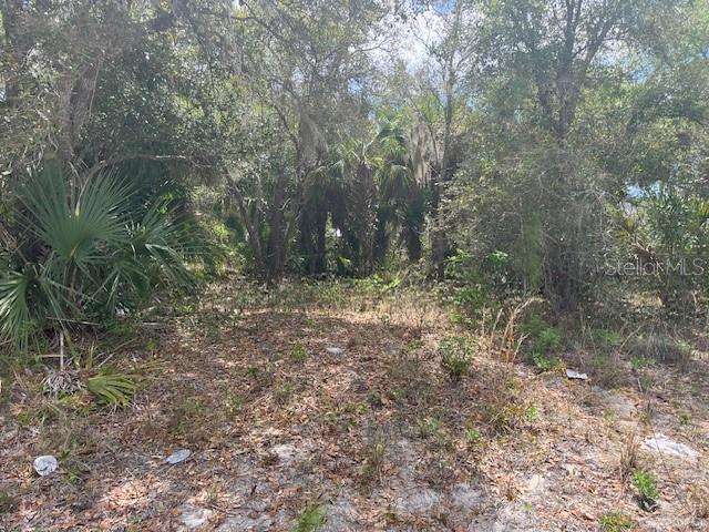 Scottish Ter, North Port, FL 34288