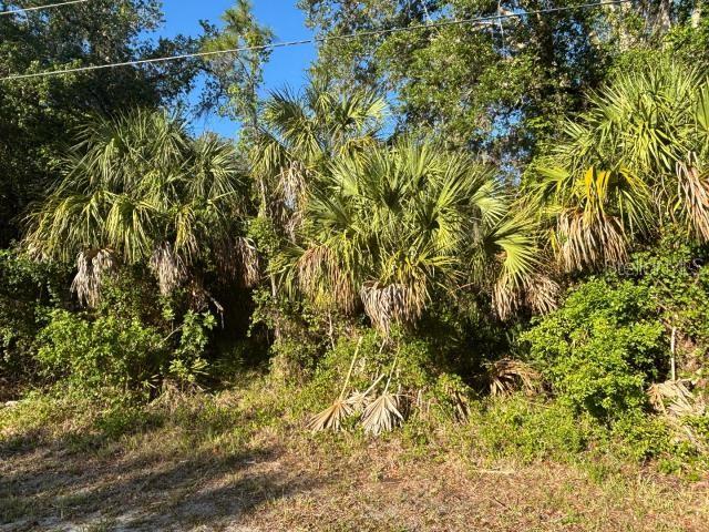 Abate Ave, North Port, FL 34288