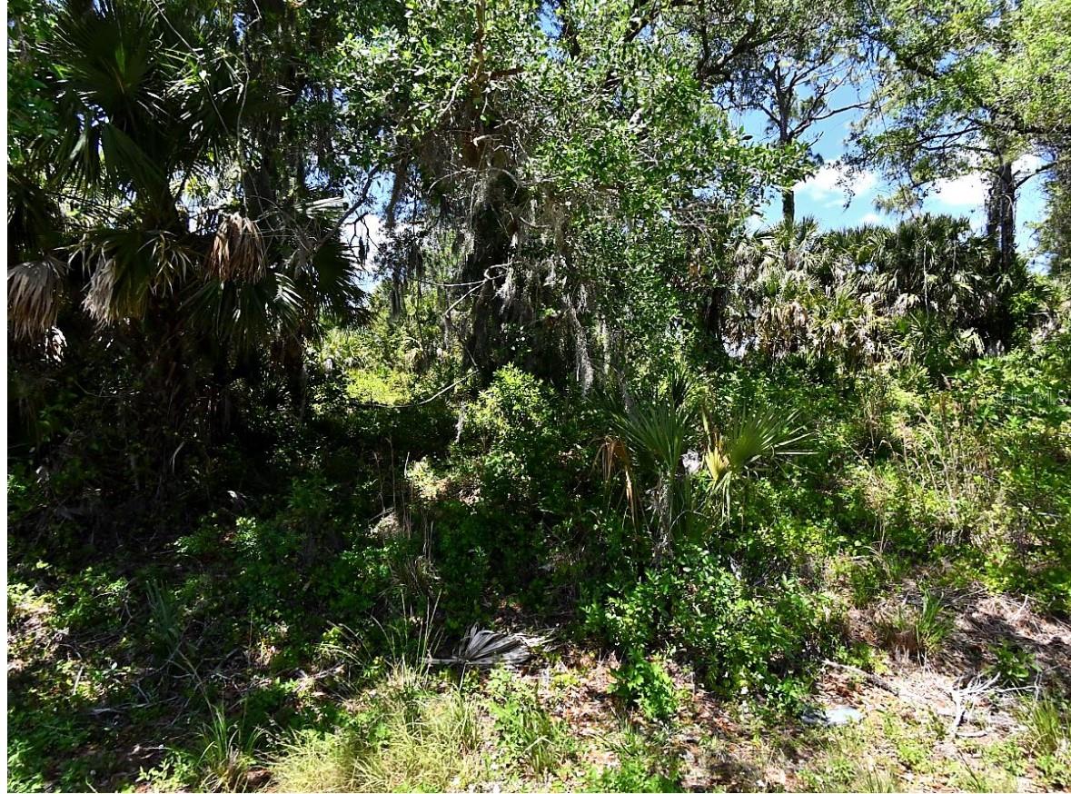 Jade St, North Port, FL 34288