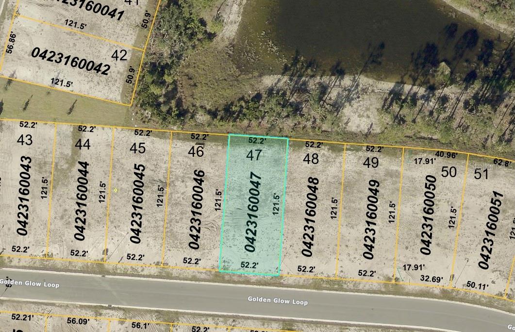 20021 Golden Glow Loop, Venice, FL 34292