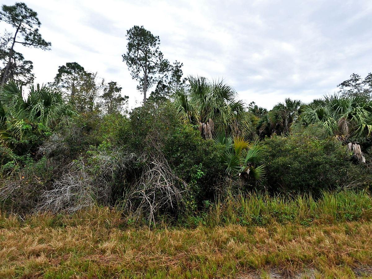 Silverleaf Rd, North Port, FL 34288
