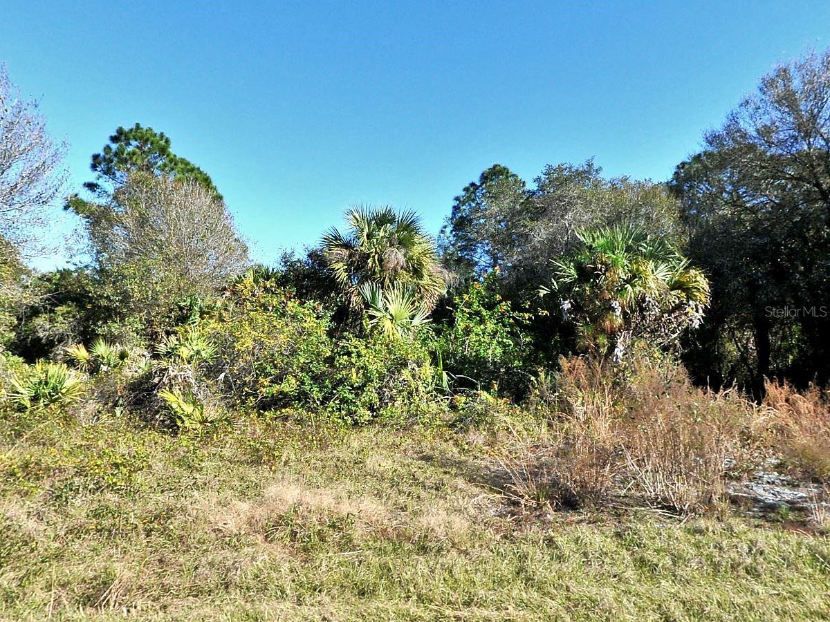 Candlenut St, North Port, FL 34288