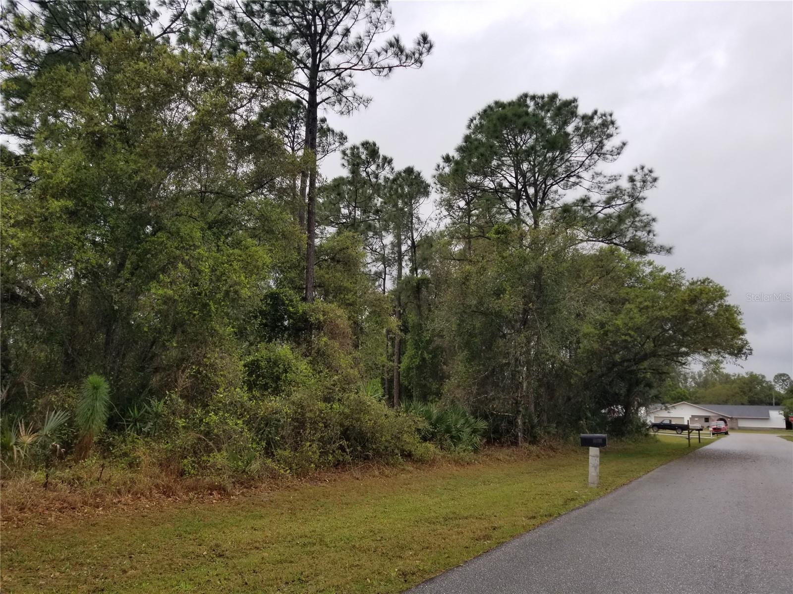 21239 Wynyard Ave, Port Charlotte, FL 33954